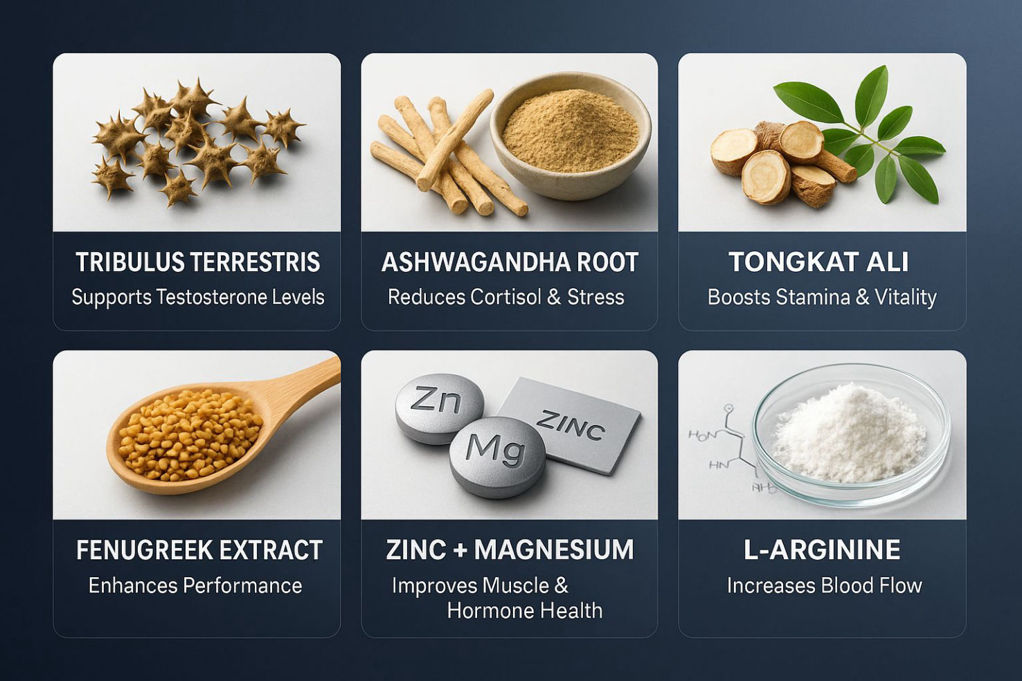 vigorlong ingredients